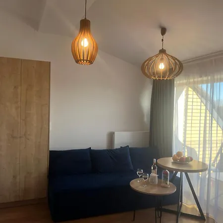 Niebieski Centrum W Budynku Z Restauracja 公寓 萨比诺瓦